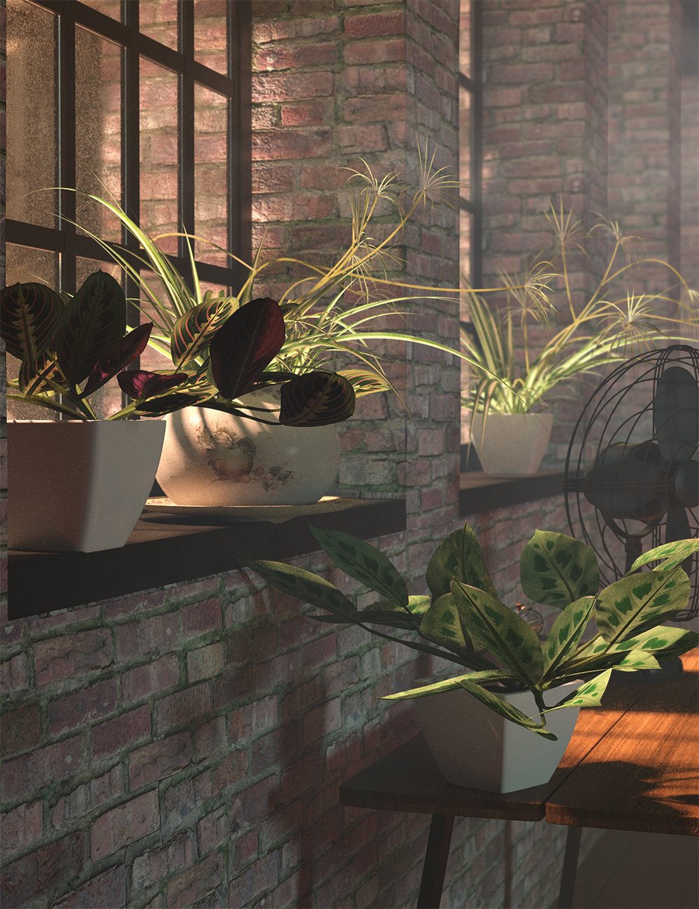 Tropical Plants Vol 4 - House Plants by: MartinJFrost, 3D Models by Daz 3D