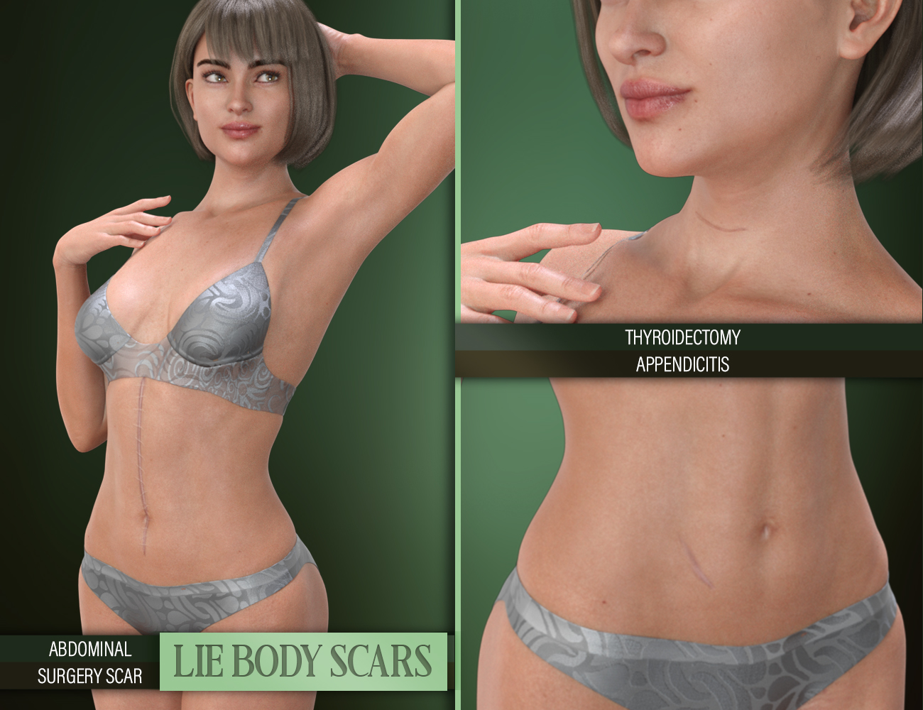 LIE Body Scars for Genesis 3 & 8 Female(s) by: FenixPhoenixEsid, 3D Models by Daz 3D