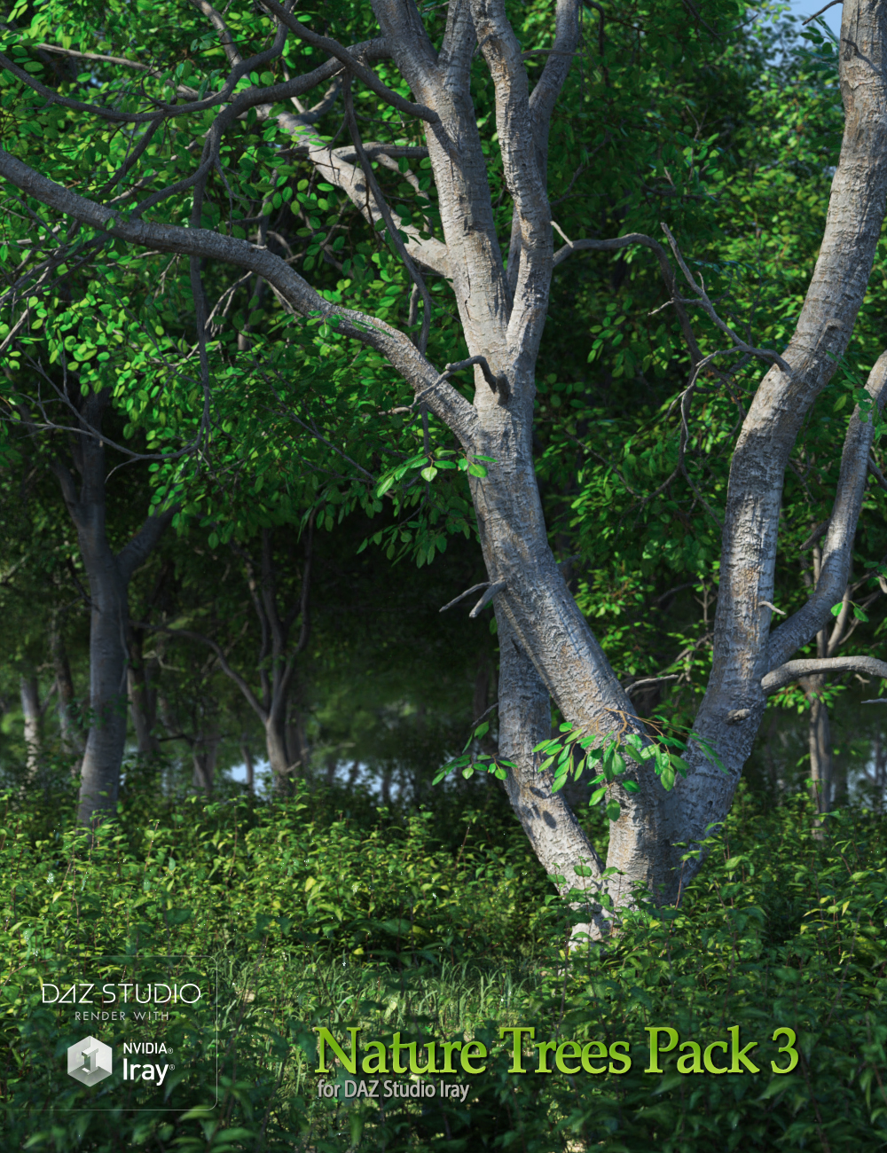 Nature Trees Pack 3 by: Andrey Pestryakov, 3D Models by Daz 3D