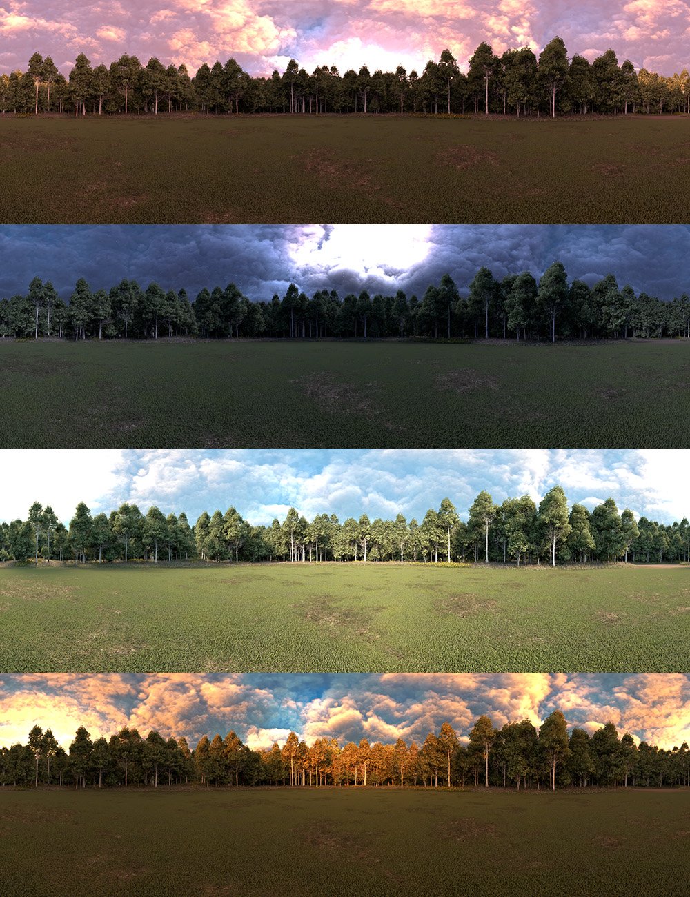 Skies of Sylva - 20 Forest Themed 8K HDRIs for Iray | Daz 3D