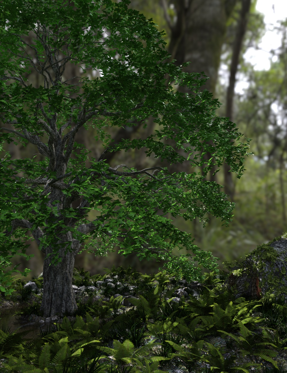 Tree Stump Garden by: Tim82, 3D Models by Daz 3D