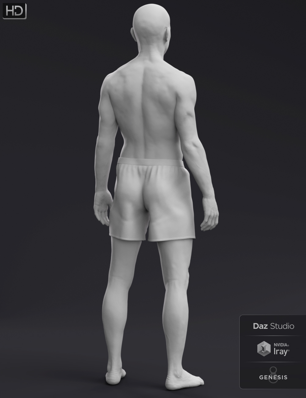 Valentino 8 HD Add-On Valentino 8 HD Add-On by: , 3D Models by Daz 3D