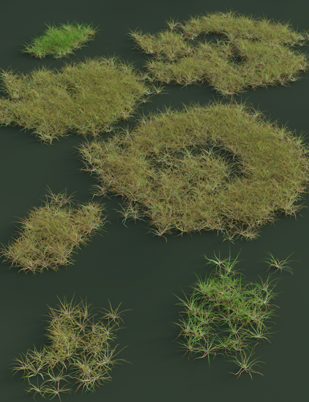 Simply Grass - Grass Plants and Clumps by: MartinJFrost, 3D Models by Daz 3D