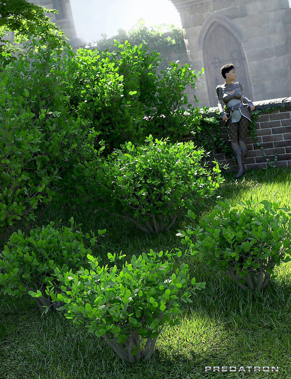 Into The Bushes by: Predatron, 3D Models by Daz 3D