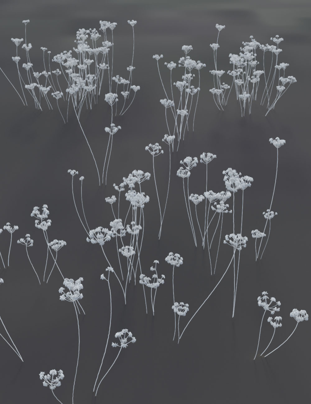 Wildflowers  - Tall Weeds and Seed heads by: MartinJFrost, 3D Models by Daz 3D
