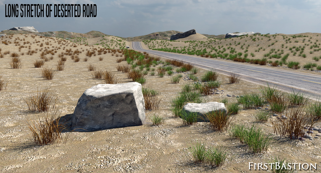 1stB Long Stretch of Deserted Road by: FirstBastion, 3D Models by Daz 3D