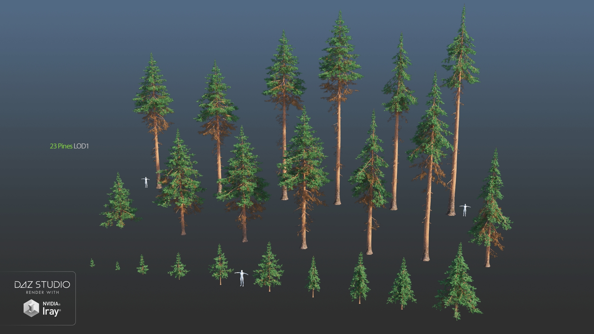 Nature Trees Pack 4 Daz 3d