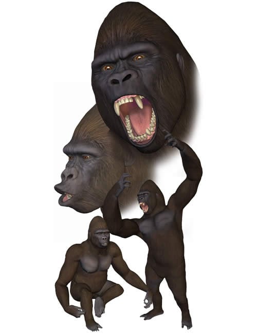 Millennium Gorilla by: , 3D Models by Daz 3D