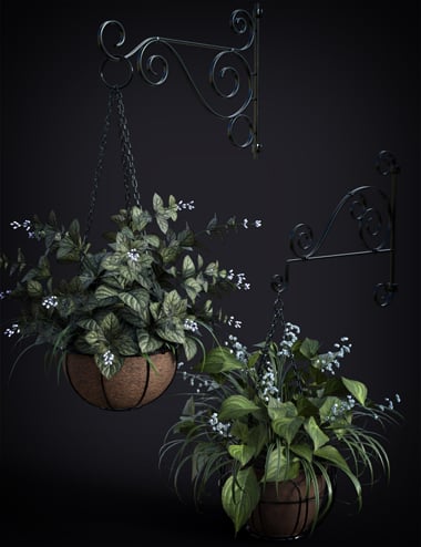 DGV Miniature Gardens vol 3 Hanging Plants DGV Miniature Gardens vol 3 Hanging Plants by: DG Vertex, 3D Models by Daz 3D