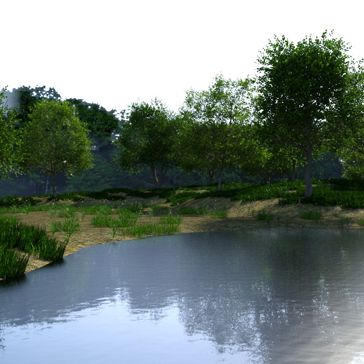 The Beautiful Lake by: JeffersonAF, 3D Models by Daz 3D