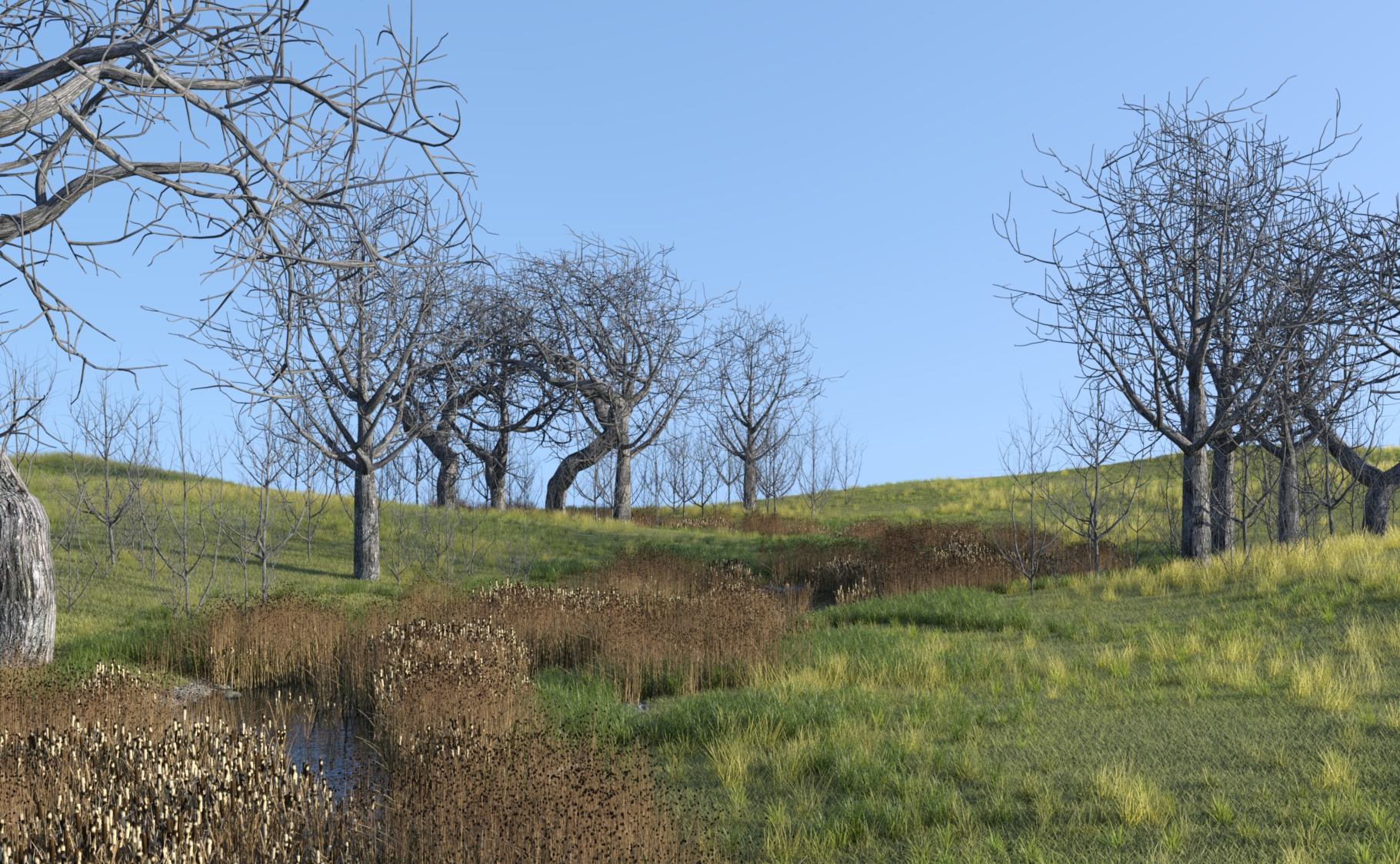 UltraScenery - Ecologies Volume 2 UltraScenery - Ecologies Volume 2 by: TangoAlpha, 3D Models by Daz 3D