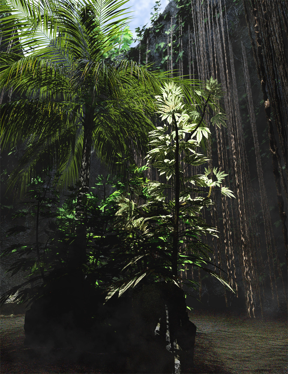 Japanese Aralia - Tropical Shrubs and Foliage by: MartinJFrost, 3D Models by Daz 3D