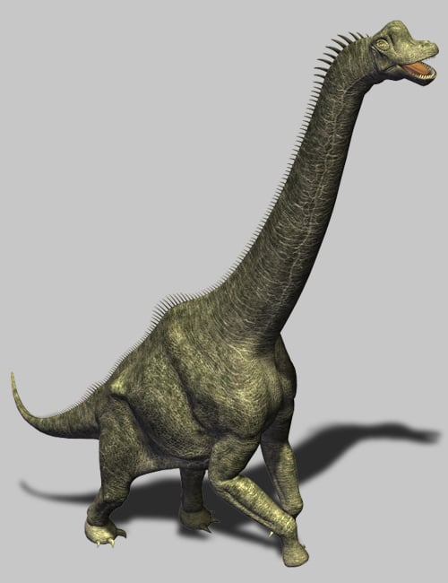 Brachiosaurus Brachiosaurus by: , 3D Models by Daz 3D