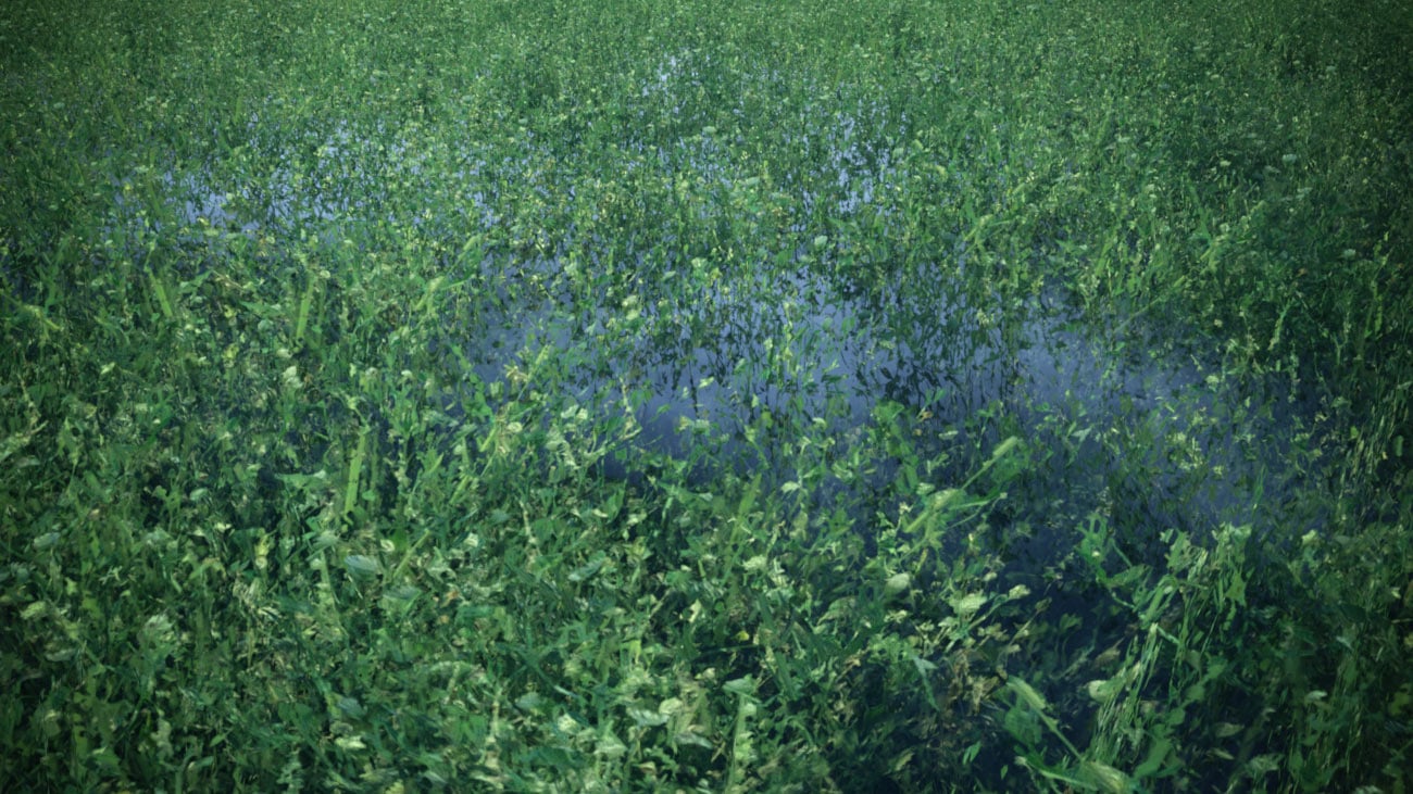 Instant Grass - Photorealistic Grass For Iray Instant Grass - Photorealistic Grass For Iray by: Dreamlight, 3D Models by Daz 3D