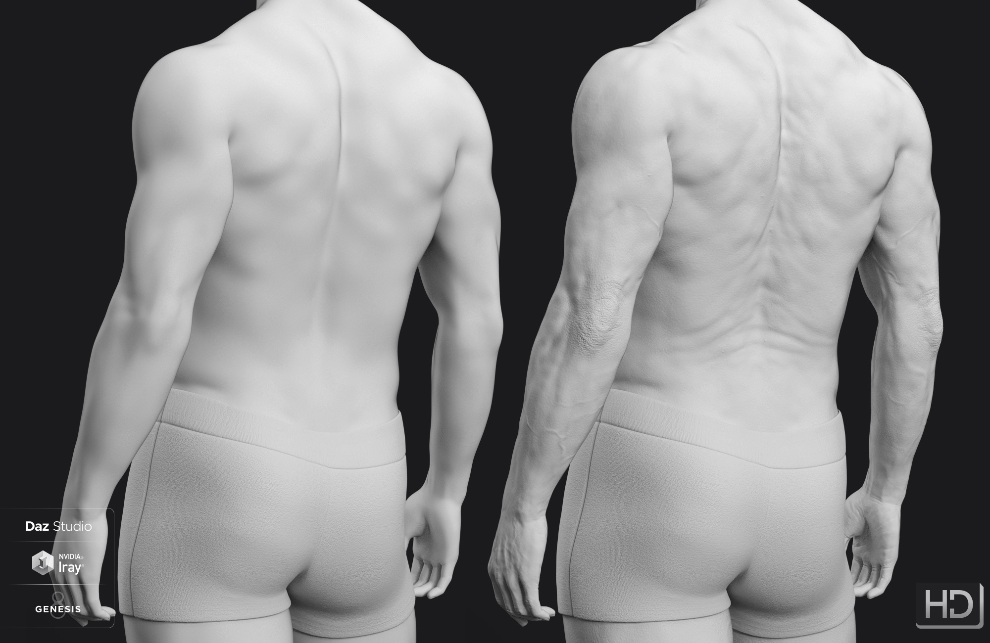 Ashan 8 HD Add-On Ashan 8 HD Add-On by: , 3D Models by Daz 3D