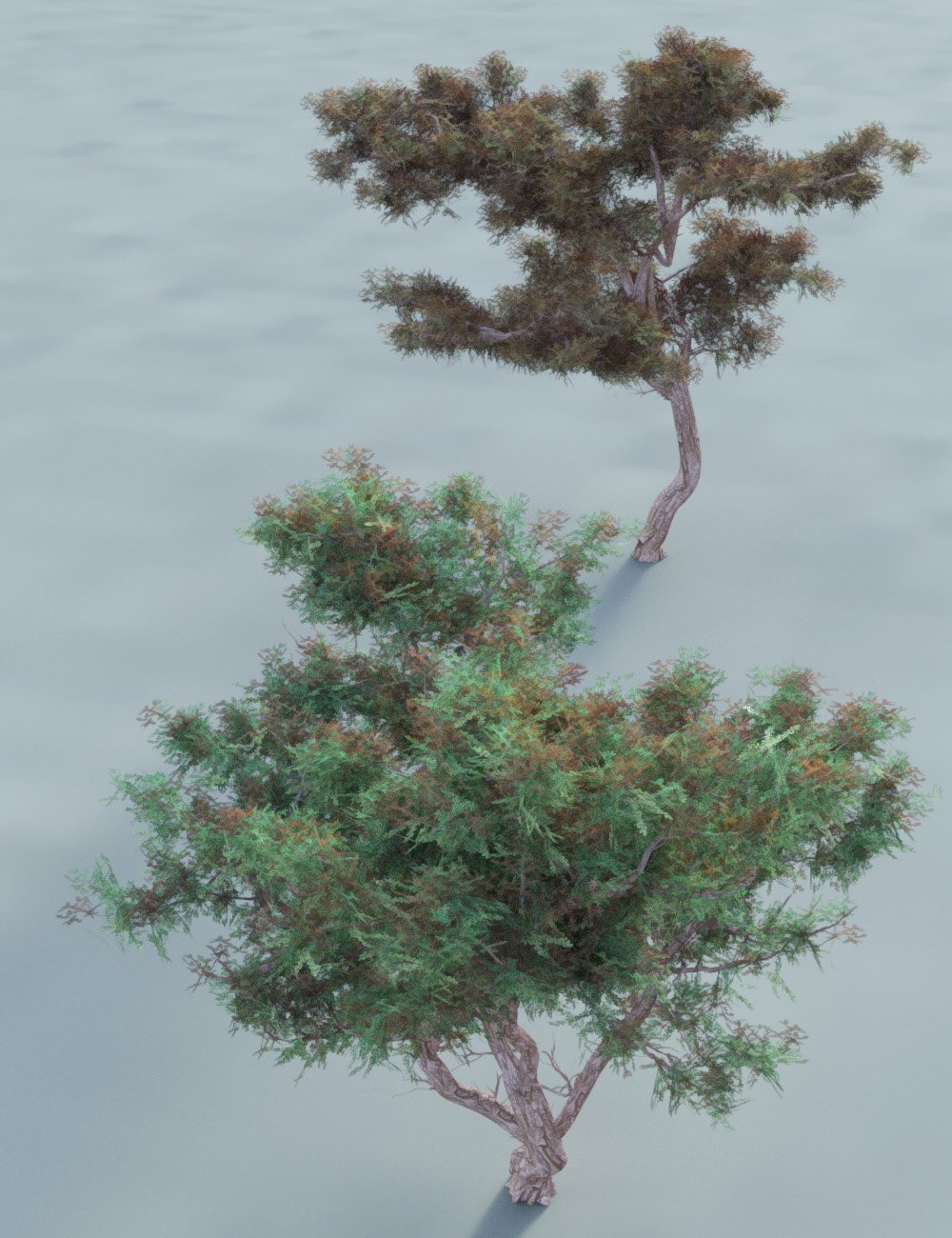 Hawthorn Trees for Daz Studio and Iray by: MartinJFrost, 3D Models by Daz 3D