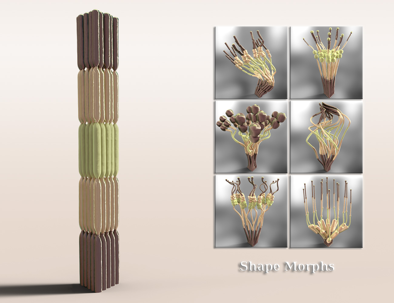 Jepe's WonderPlantZ Jepe's WonderPlantZ by: Jepe, 3D Models by Daz 3D