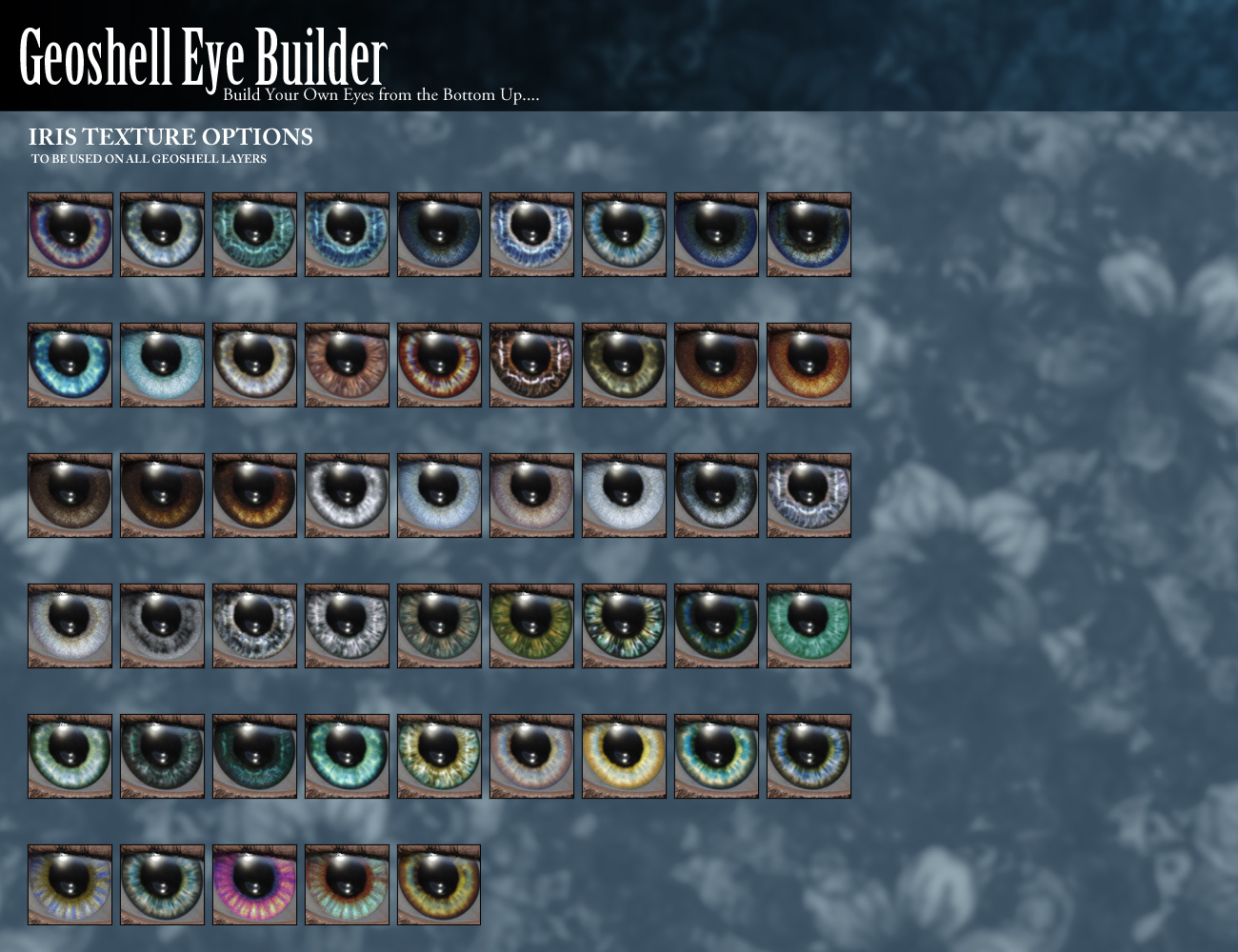 Geoshell Eye Builder for Genesis 8 Female | Daz 3D