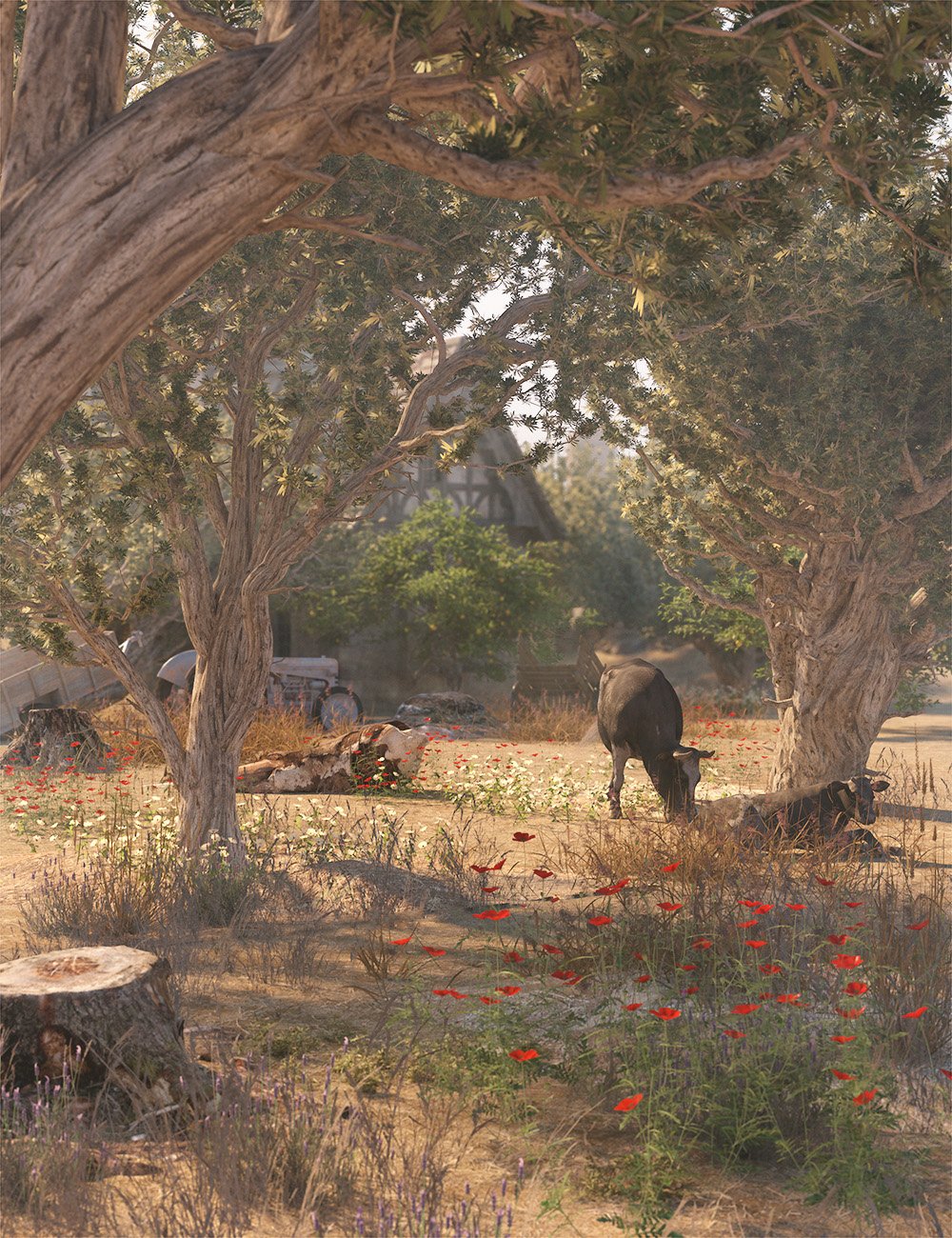 Olive Grove - Ancient Olive Trees by: MartinJFrost, 3D Models by Daz 3D