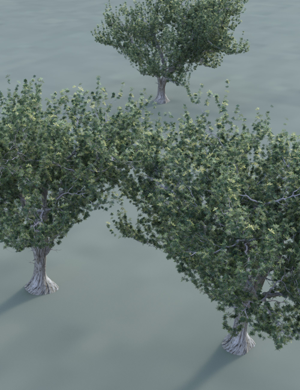 Olive Grove - Ancient Olive Trees Olive Grove - Ancient Olive Trees by: MartinJFrost, 3D Models by Daz 3D