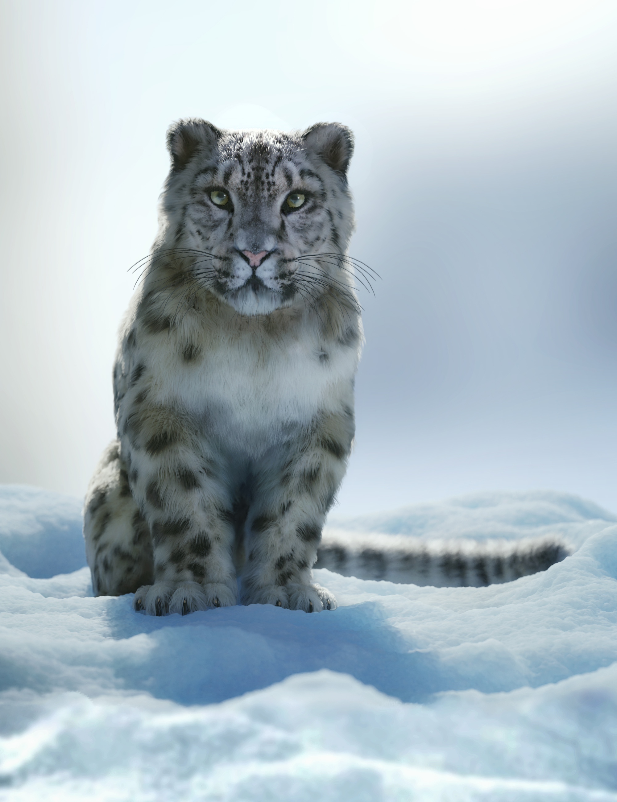 Felidae by AM - Snow Leopard by: Alessandro_AM, 3D Models by Daz 3D