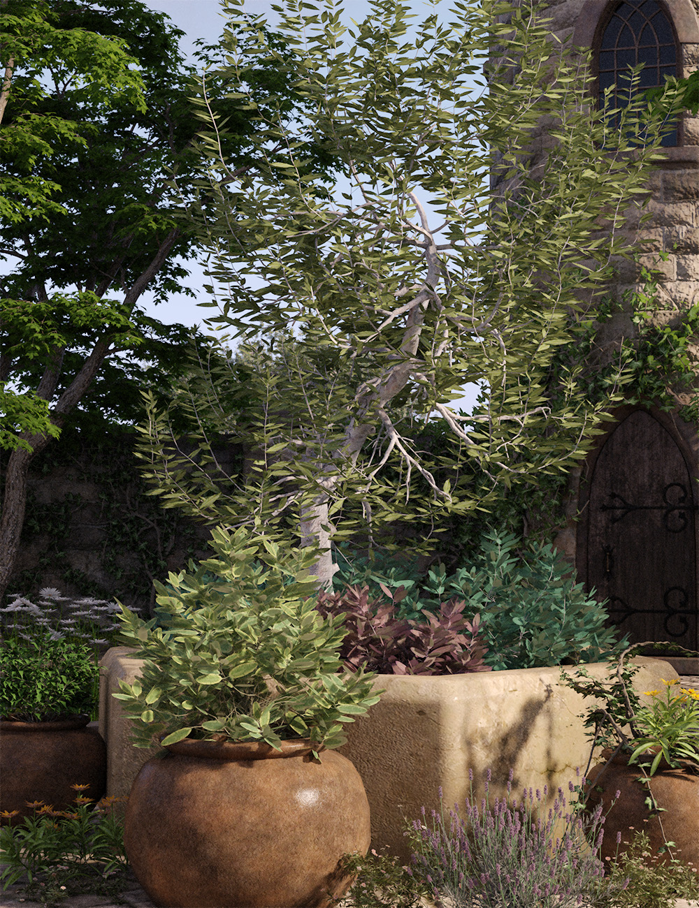 Mediterranean Shrubs vol 1 Mediterranean Shrubs vol 1 by: MartinJFrost, 3D Models by Daz 3D