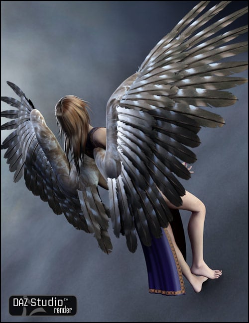 Feathered Wings by: , 3D Models by Daz 3D