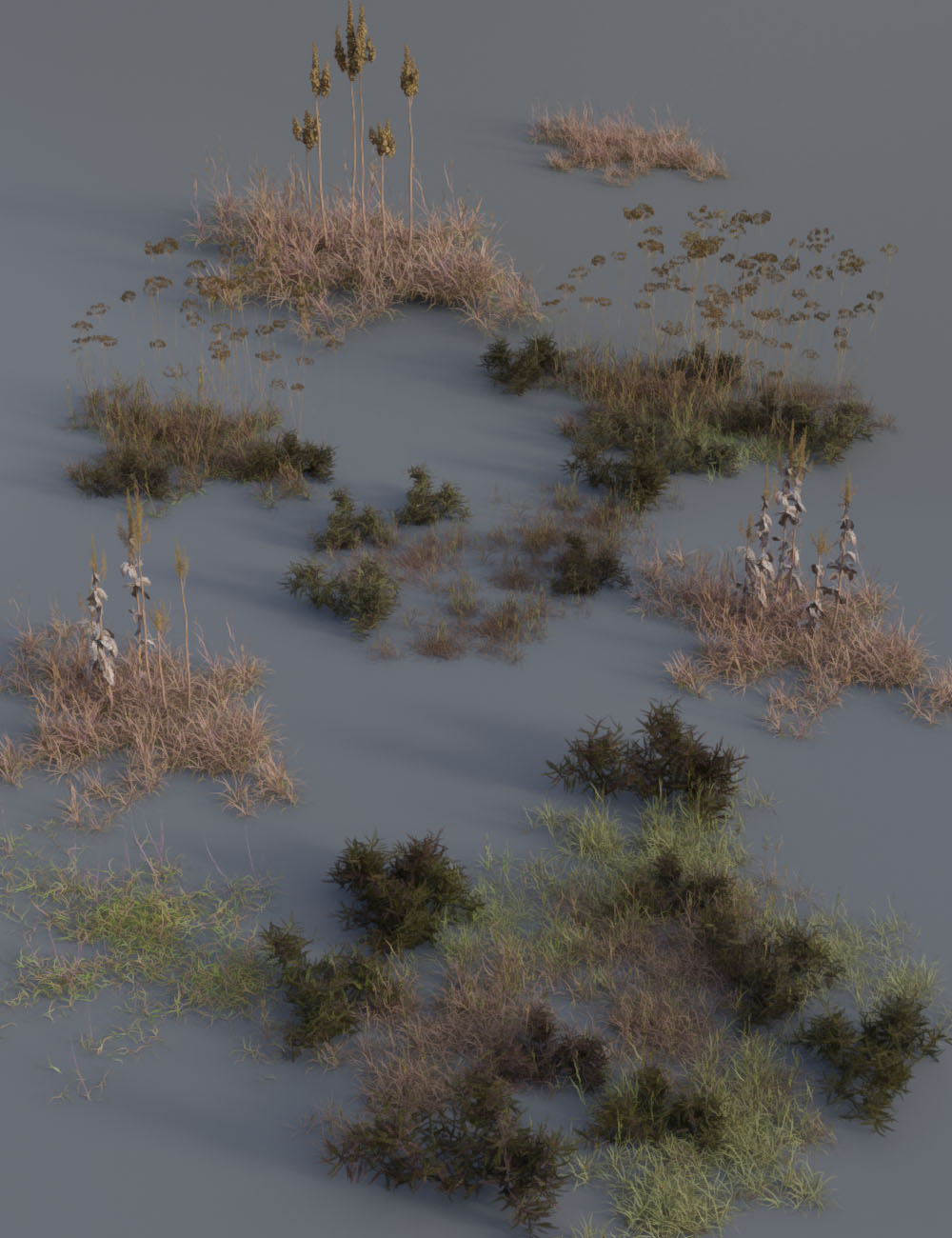 Wasteland Plants - High Resolution Instant Eco Systems by: MartinJFrost, 3D Models by Daz 3D