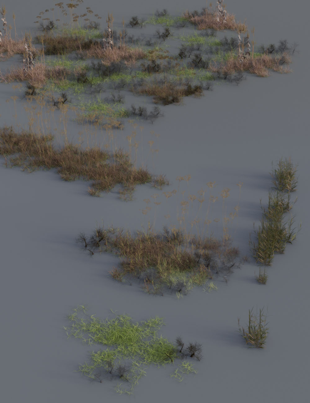 Wasteland Plants - High Resolution Instant Eco Systems by: MartinJFrost, 3D Models by Daz 3D