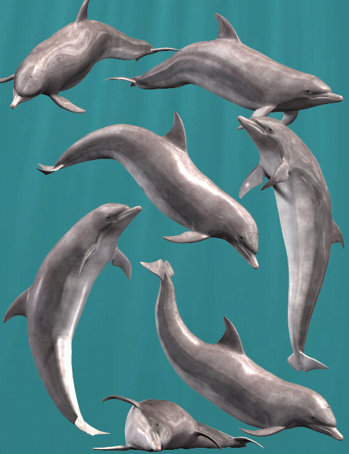 Dolphin Poses by: Digiport, 3D Models by Daz 3D