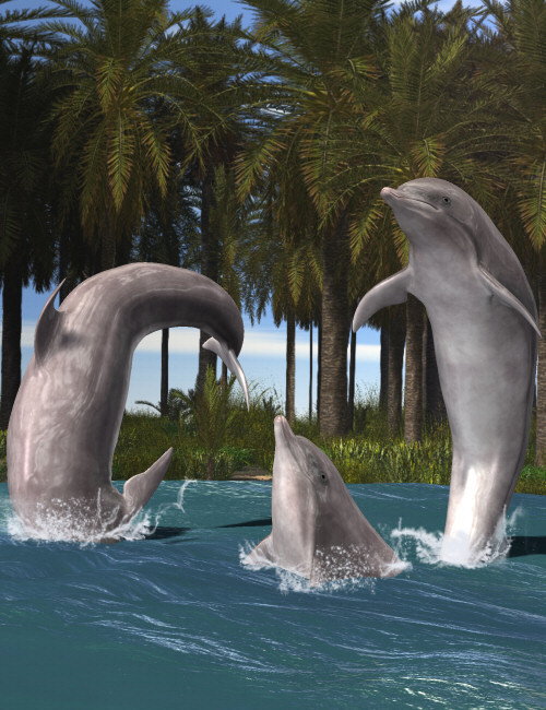 Dolphin Poses Dolphin Poses by: Digiport, 3D Models by Daz 3D