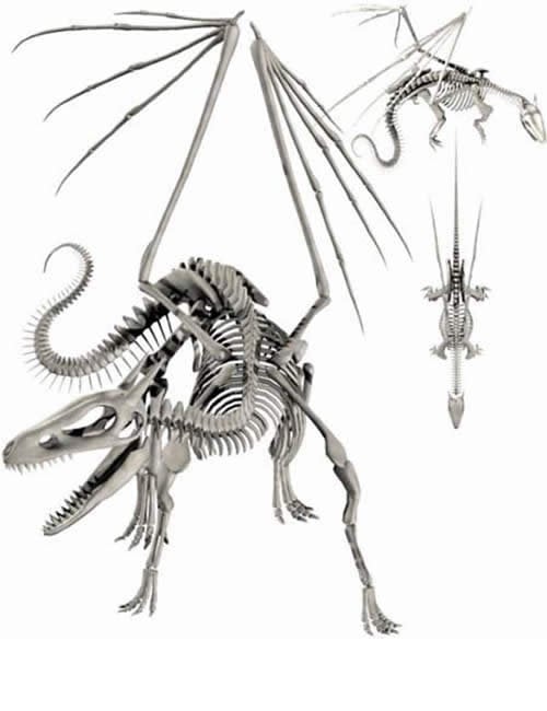 Dragon Skeleton (Articulate Vertebrae) by: , 3D Models by Daz 3D