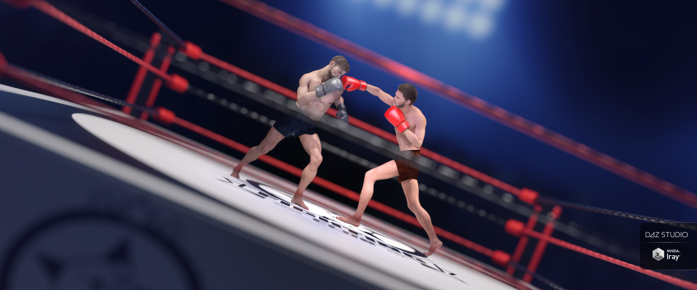 The Fighting Ring by: SR3, 3D Models by Daz 3D