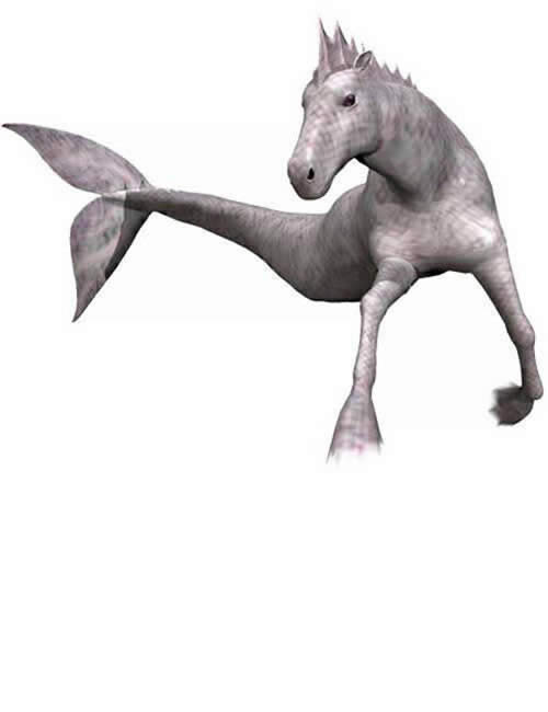Hippocampus (Mermaid's Horse) by: , 3D Models by Daz 3D