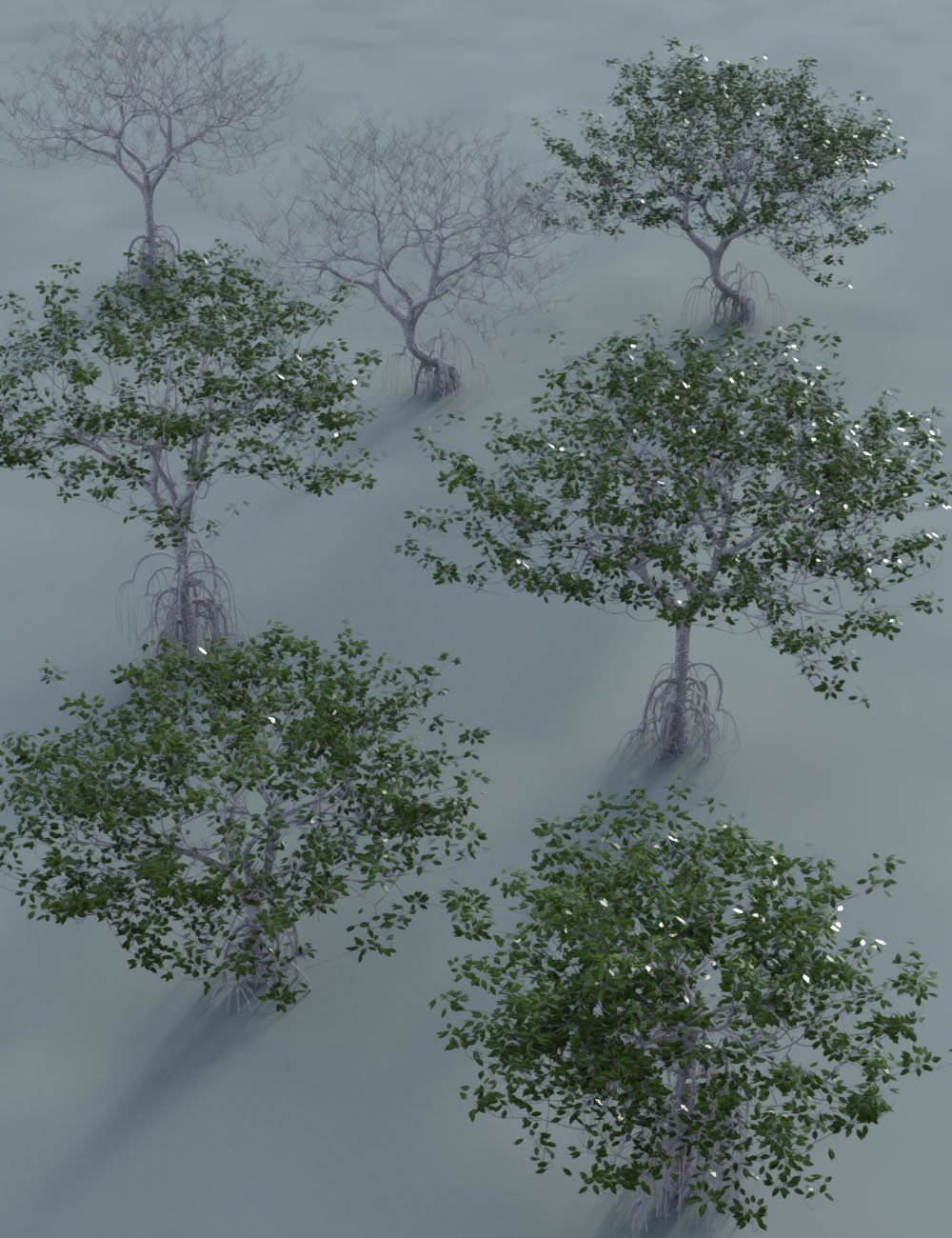 Low Resolution Tropical Trees and Shrubs by: MartinJFrost, 3D Models by Daz 3D