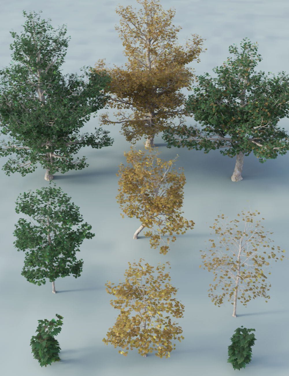 The Greenwood Vol 1 Sycamore Trees by: MartinJFrost, 3D Models by Daz 3D
