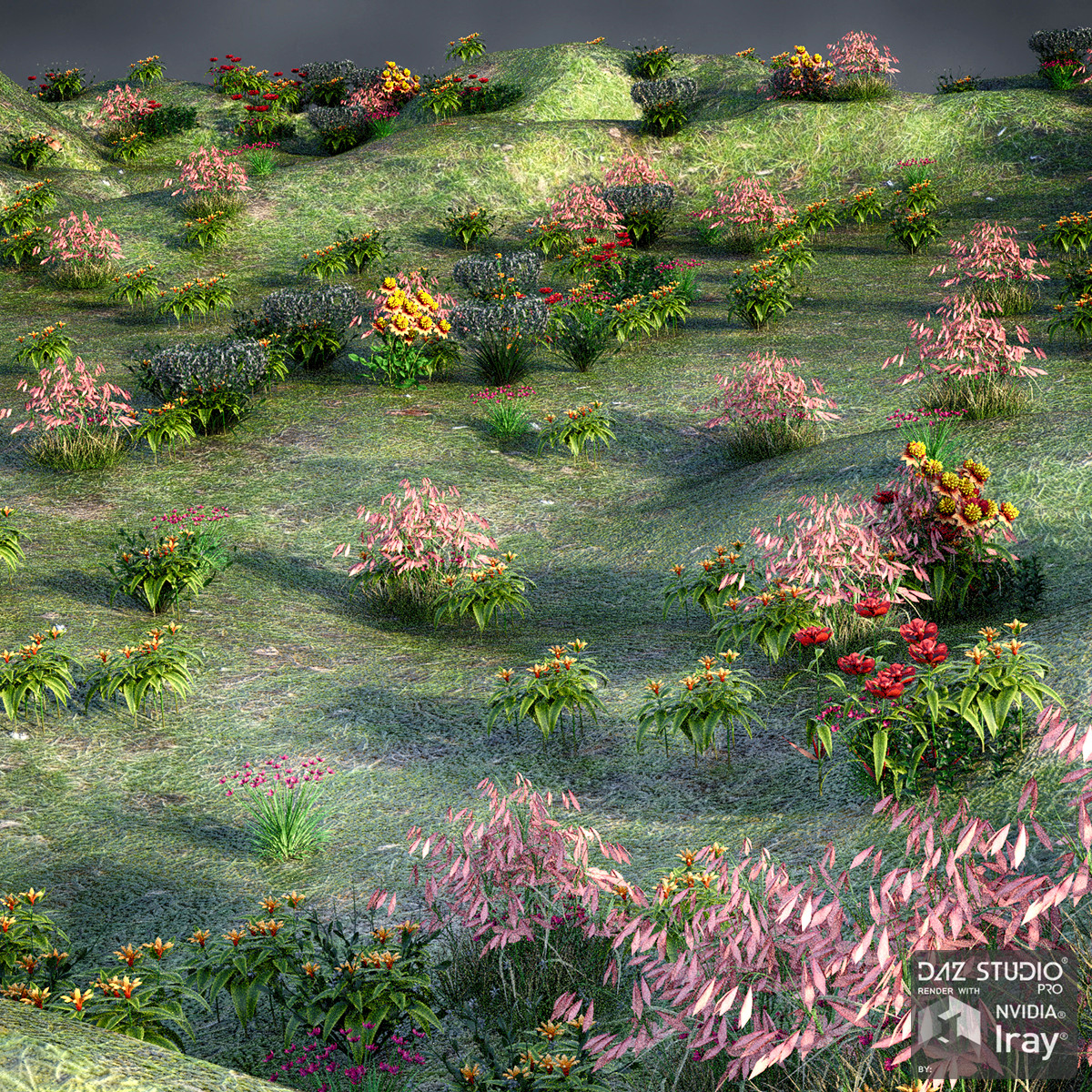 My Beautiful Plants My Beautiful Plants by: Gendragon3DJeffersonAF, 3D Models by Daz 3D