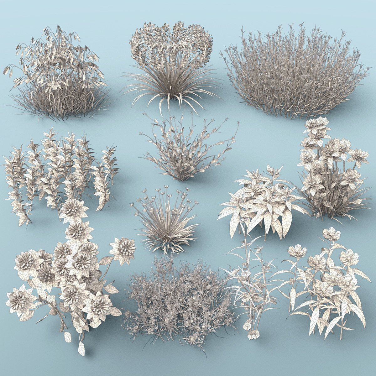 My Beautiful Plants My Beautiful Plants by: Gendragon3DJeffersonAF, 3D Models by Daz 3D