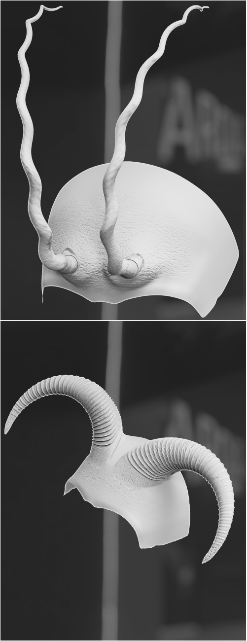 Fantasy Horns For Genesis 8 Female Volume 2 by: 3anson, 3D Models by Daz 3D