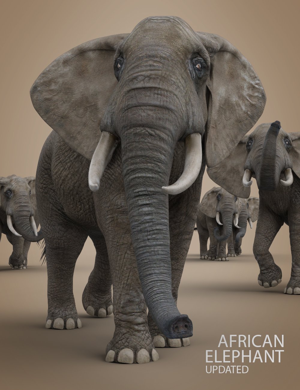 African Elephant Updated by: Deepsea, 3D Models by Daz 3D