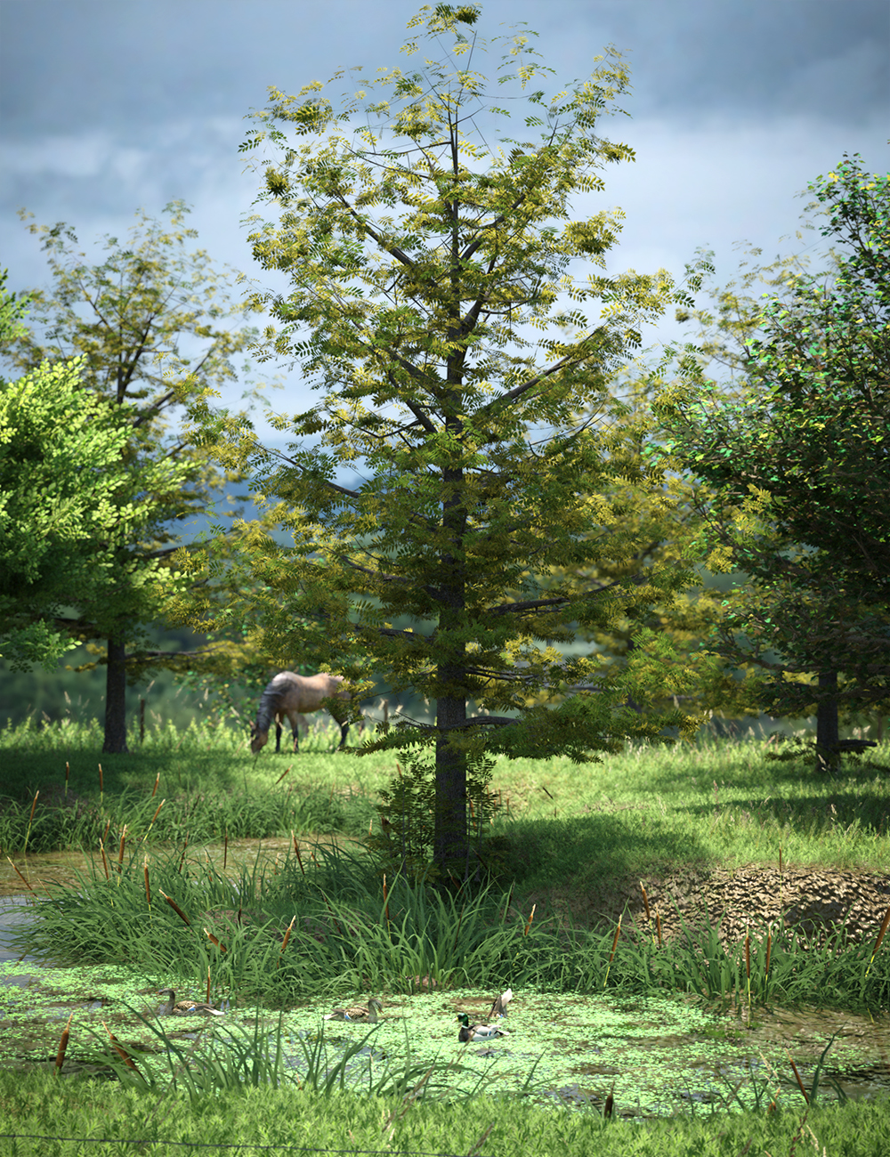 The Greenwood Vol 2 - Ash Trees by: MartinJFrost, 3D Models by Daz 3D