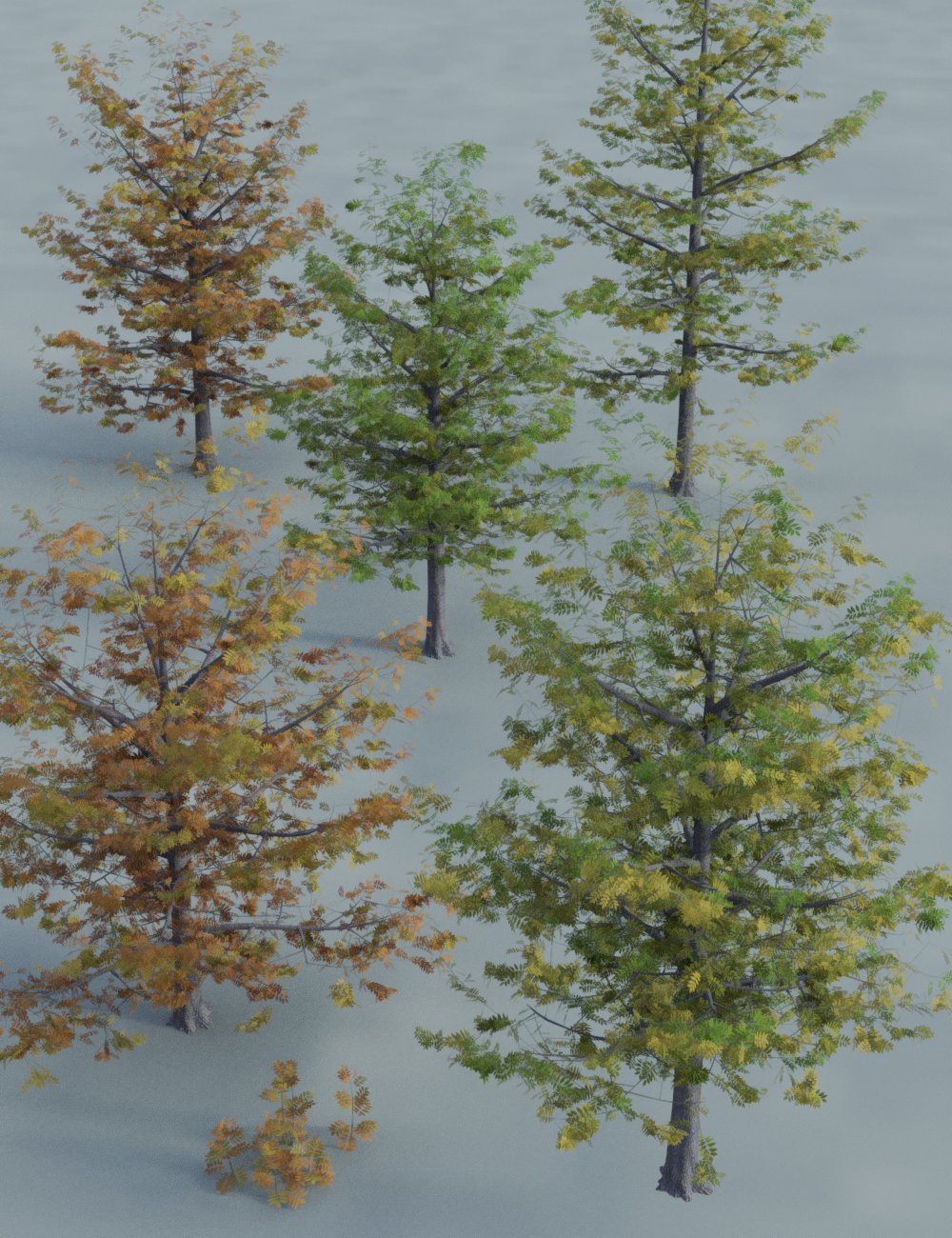 The Greenwood Vol 2 - Ash Trees The Greenwood Vol 2 - Ash Trees by: MartinJFrost, 3D Models by Daz 3D
