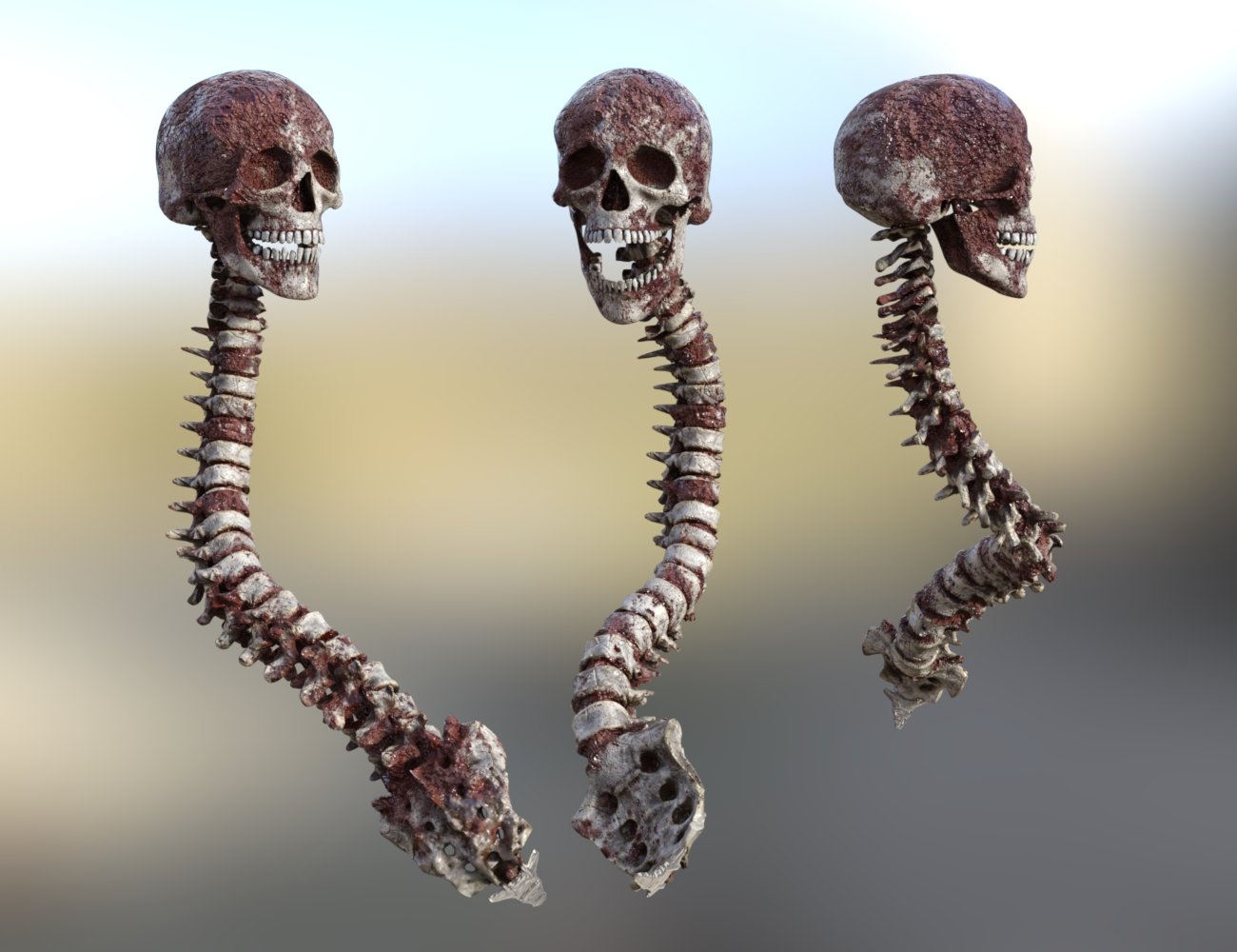 Skull n Spine by: DzFire, 3D Models by Daz 3D