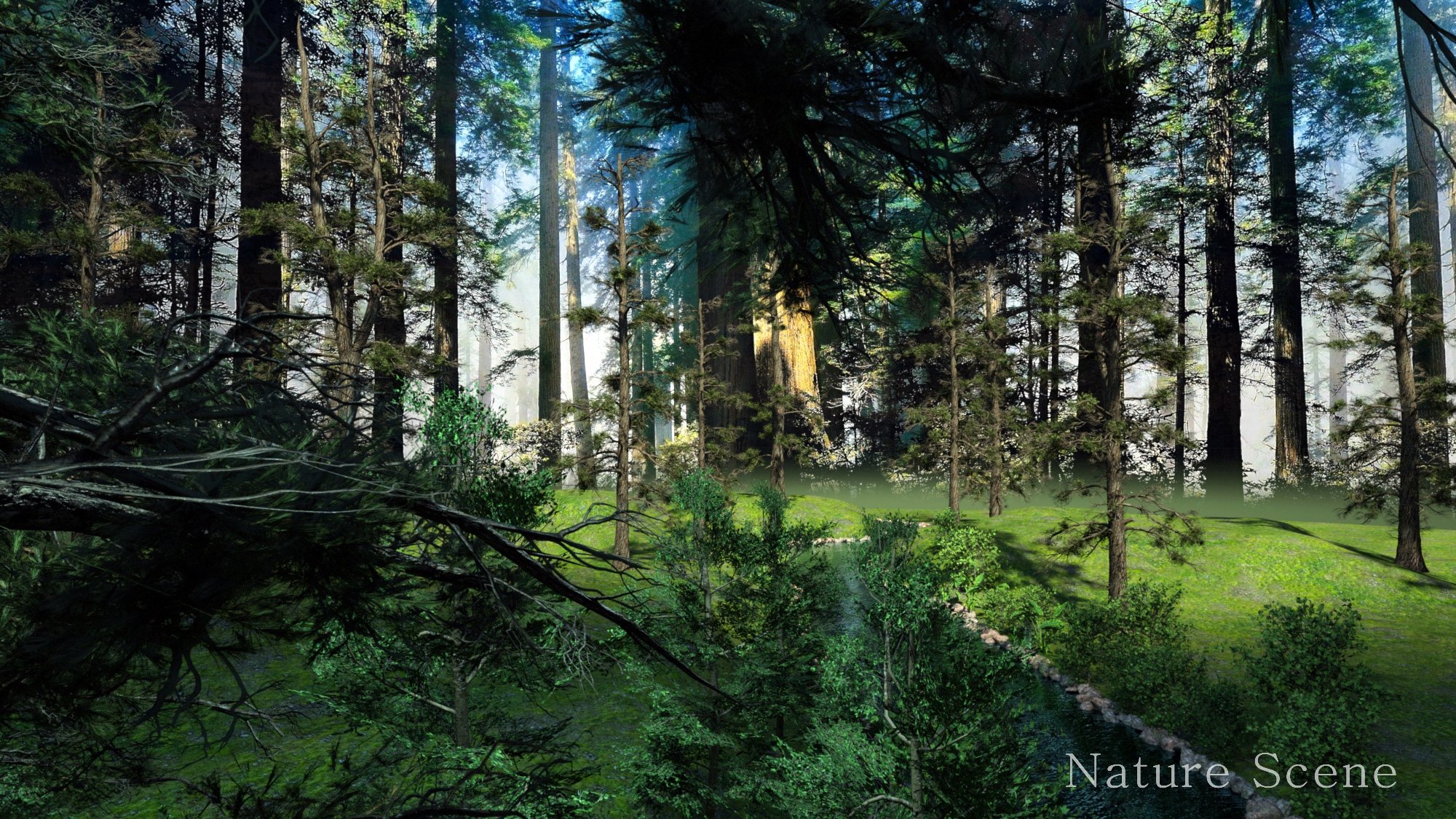 Elf Village and World Builder Elf Village and World Builder by: Magix 101, 3D Models by Daz 3D