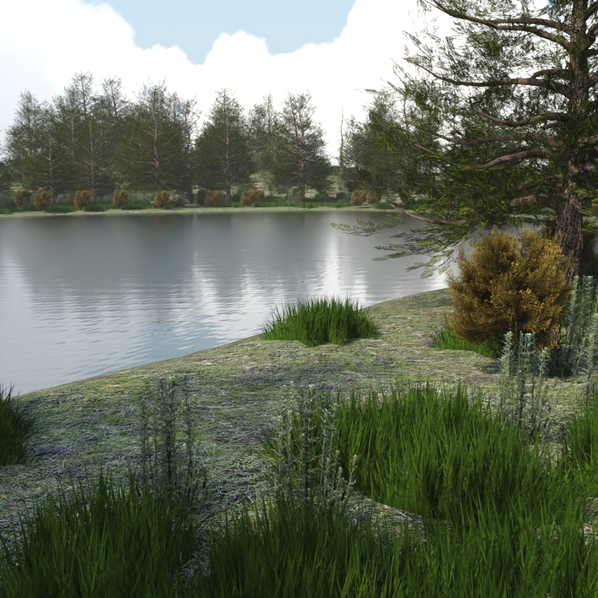 The Lake Forest by: JeffersonAF, 3D Models by Daz 3D