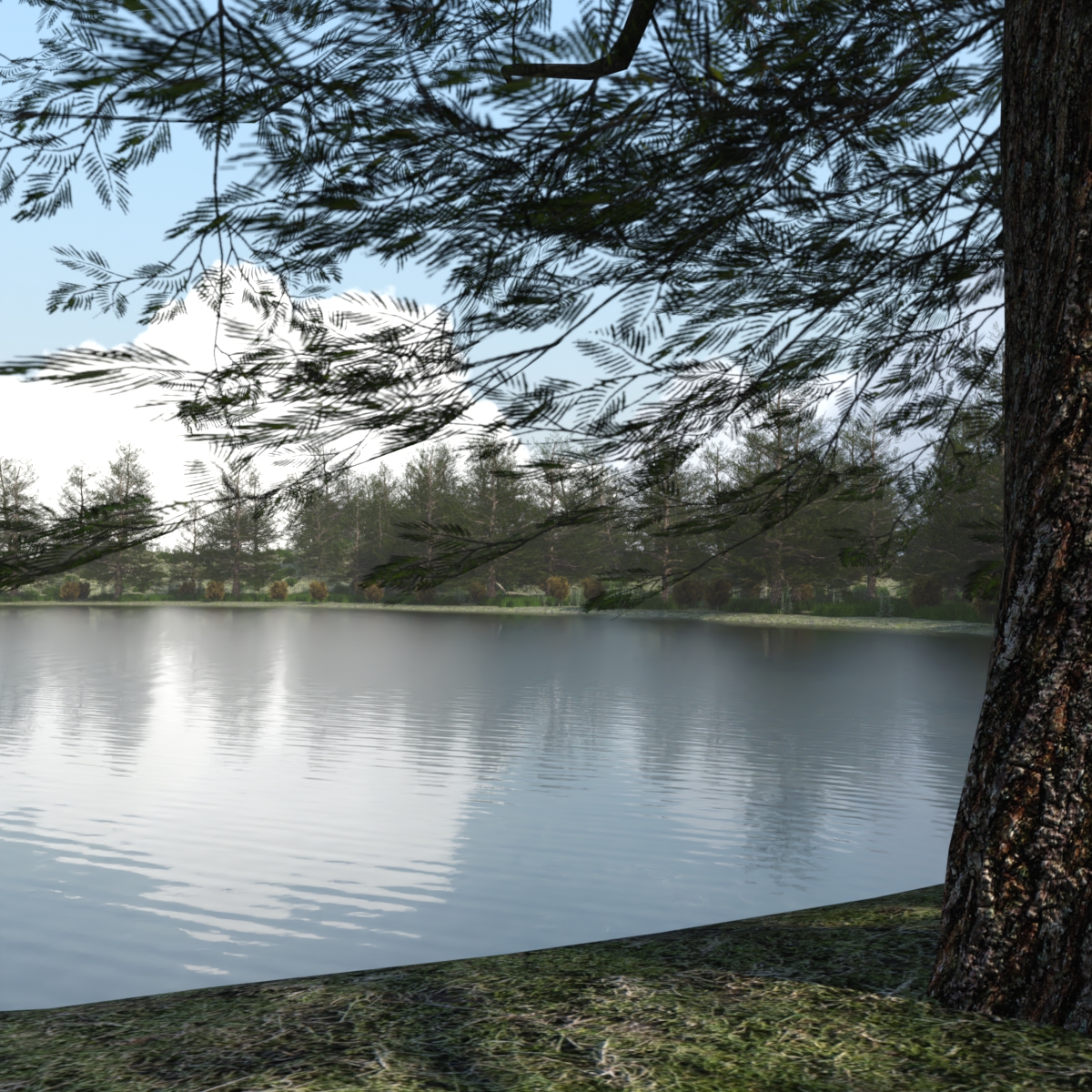 The Lake Forest by: JeffersonAF, 3D Models by Daz 3D
