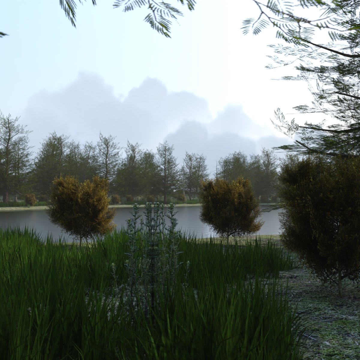 The Lake Forest The Lake Forest by: JeffersonAF, 3D Models by Daz 3D