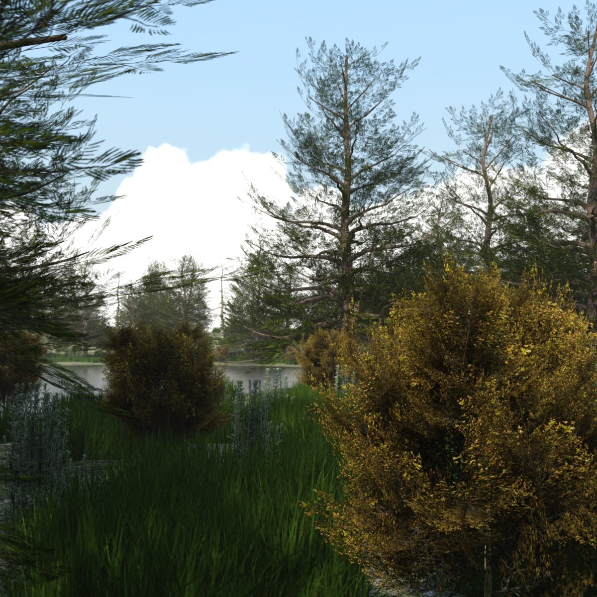 The Lake Forest The Lake Forest by: JeffersonAF, 3D Models by Daz 3D