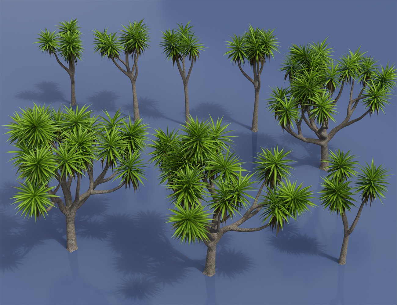 Predatron Cabbage Palm Trees by: Predatron, 3D Models by Daz 3D