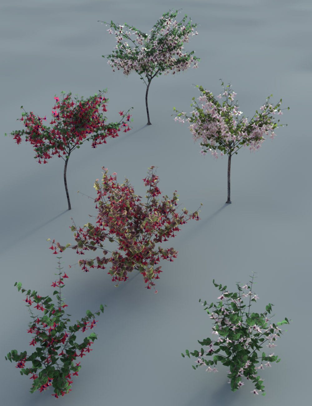 Garden Flowers - Fushia Bushes Garden Flowers - Fushia Bushes by: MartinJFrost, 3D Models by Daz 3D